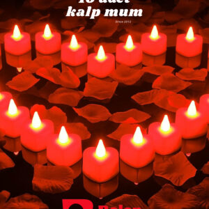 10 adet kalp mum 1 paket gül kurusu sevgiliye özel