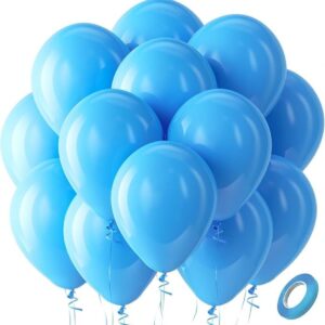 10 Adet Renkli Metalik Balon